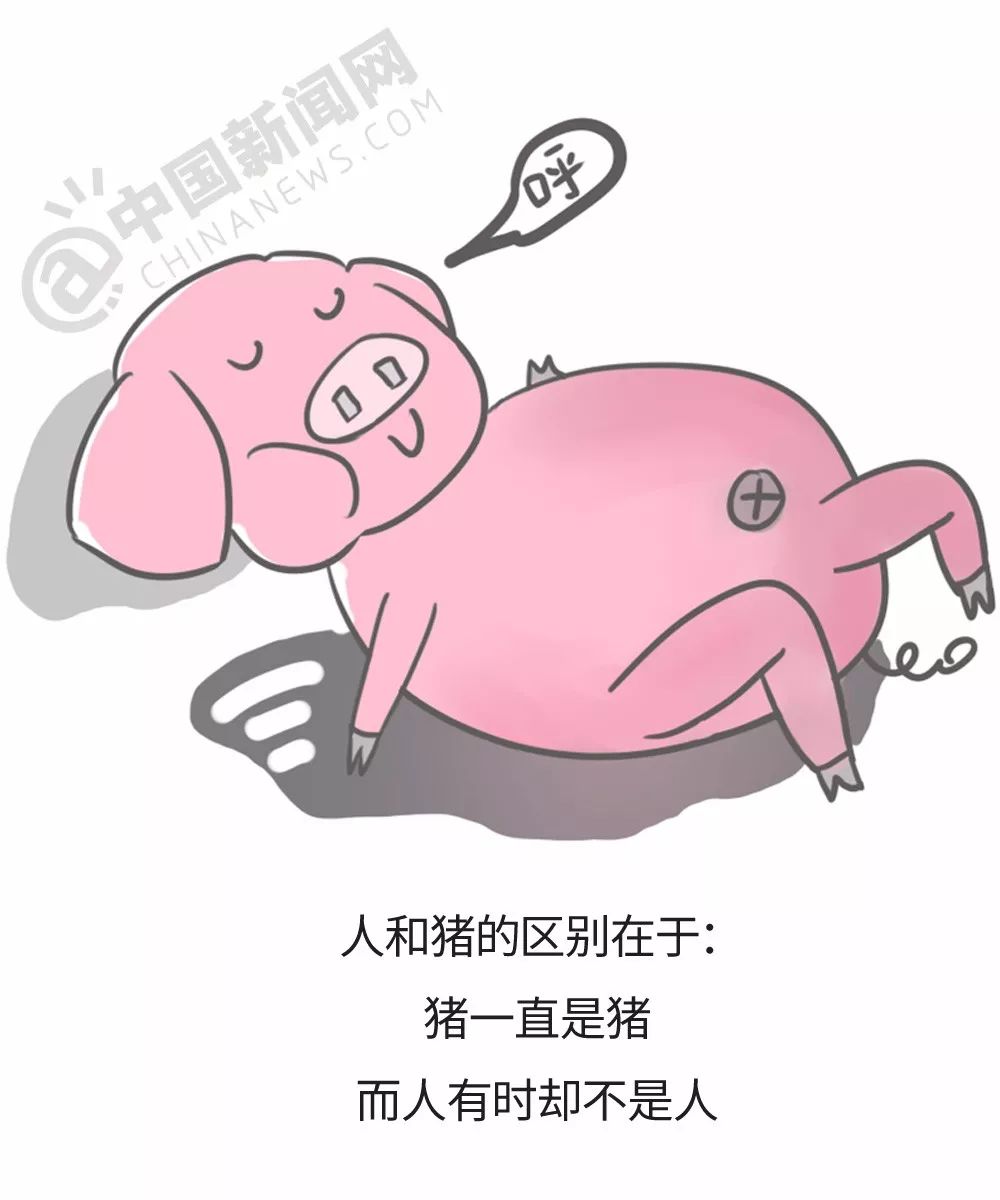 句句|句子|责编