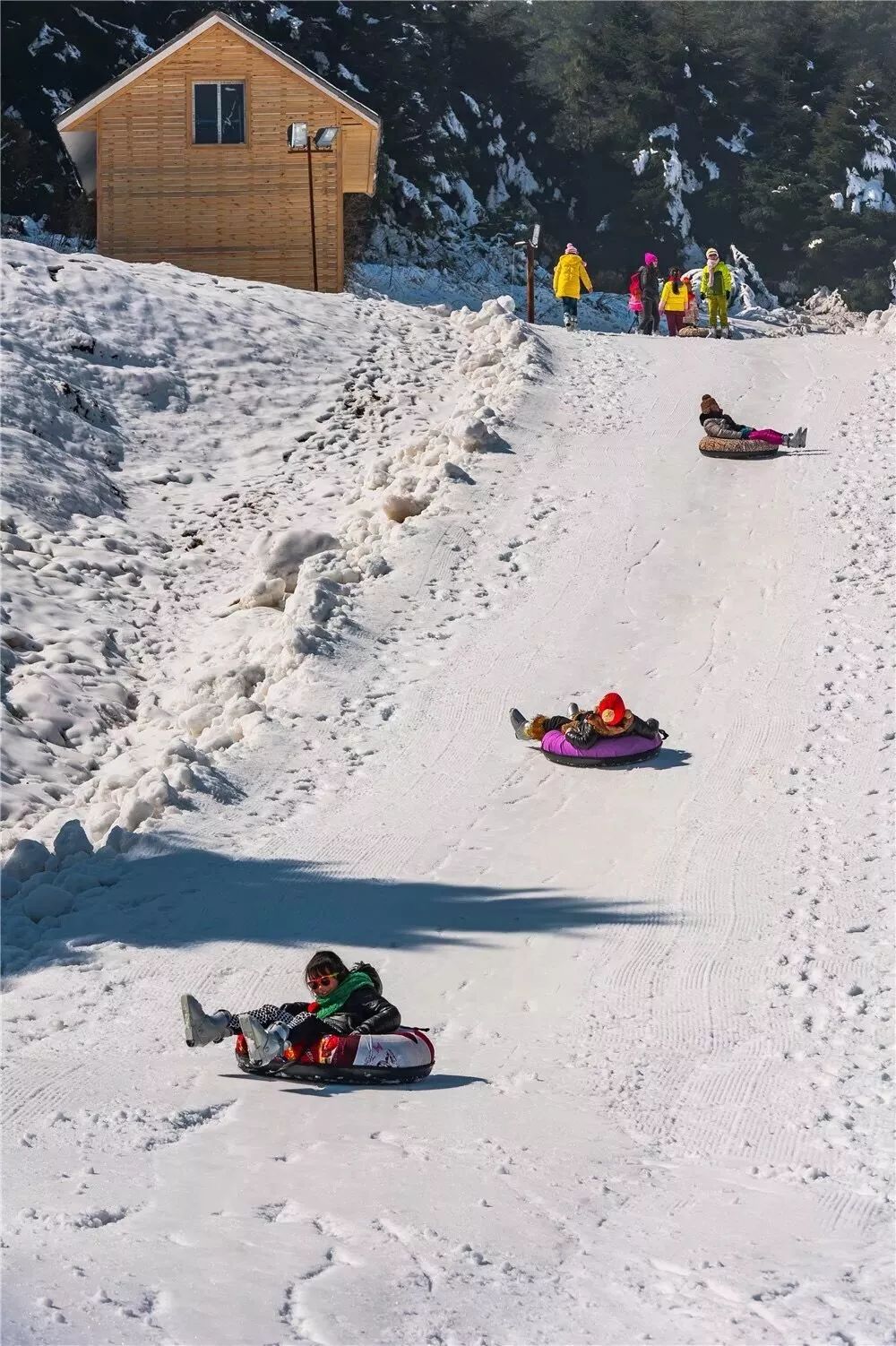 六盘水玉舍国家森林公园滑雪场依托森林公园优美的自然景色,隆冬时节