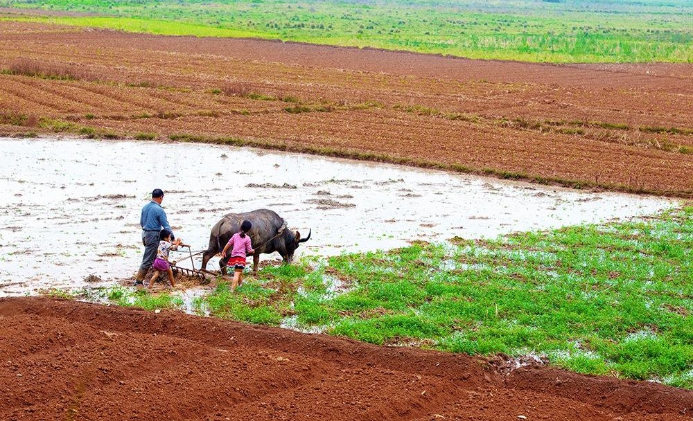 【决策】国家12部委联合部署 打响2018年春耕