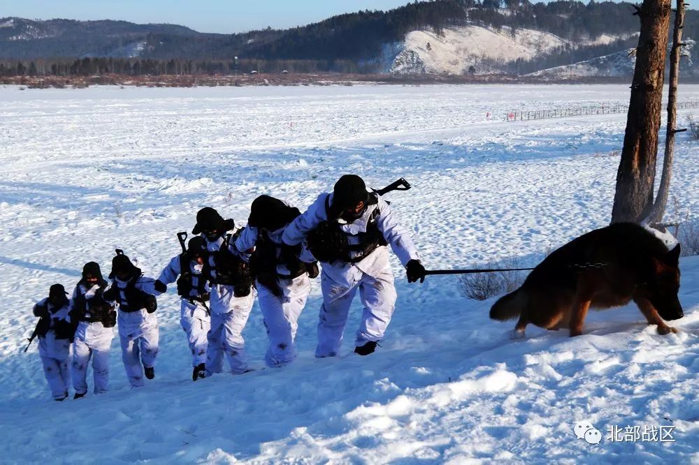 40℃,一身冰雪,两肩霜花  北极哨兵在风雪中坚守国门