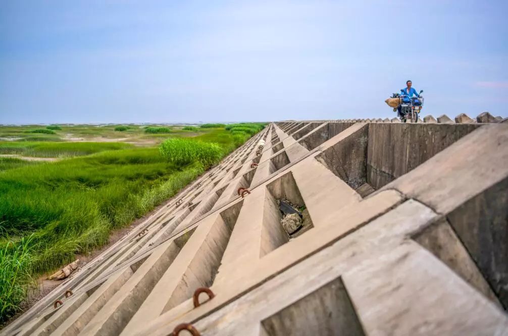 填海围垦下湿地变失地