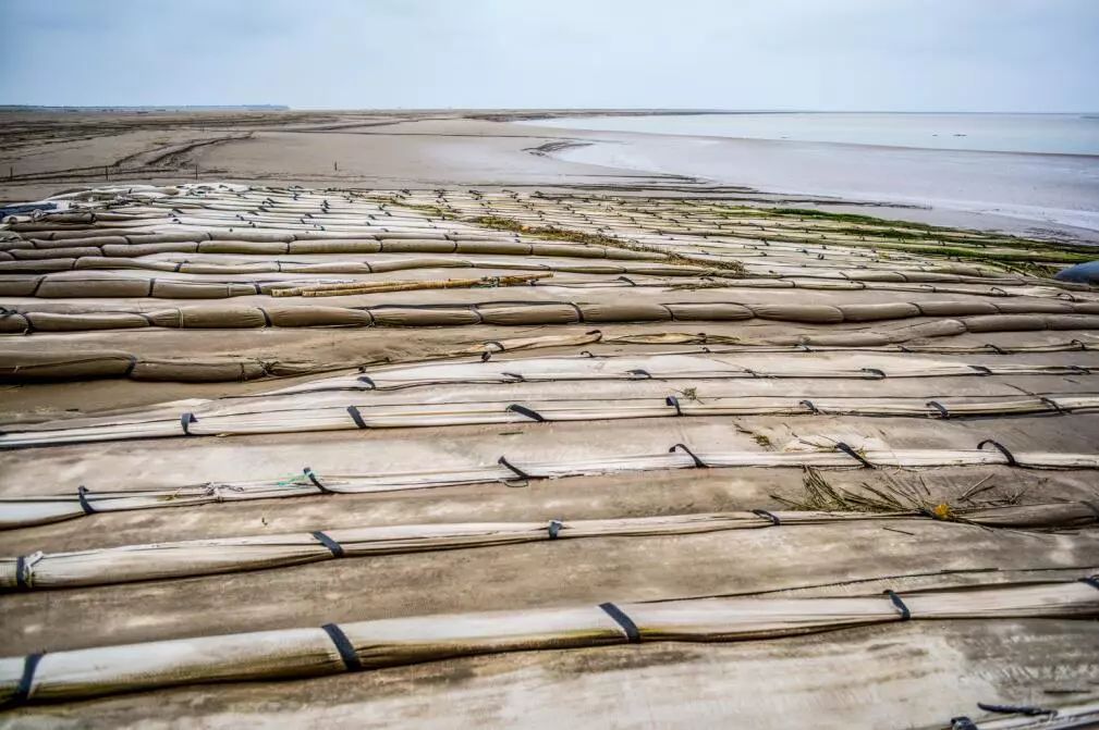 填海围垦下湿地变"失地"|围垦|生态保护|东台_新浪新闻