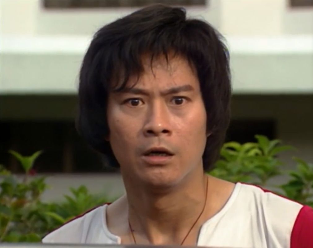 另一个是丁蟹,他最好的朋友,也是后来因为同样爱上罗慧玲而把他打傻