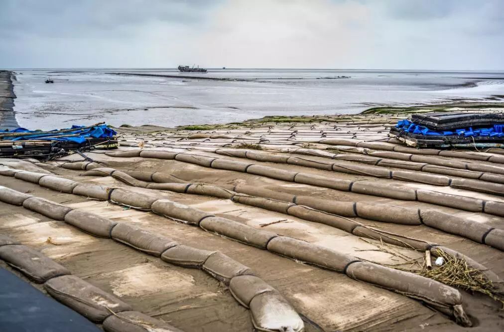 滩涂殇歌|围垦|滨海湿地|滩涂_新浪新闻