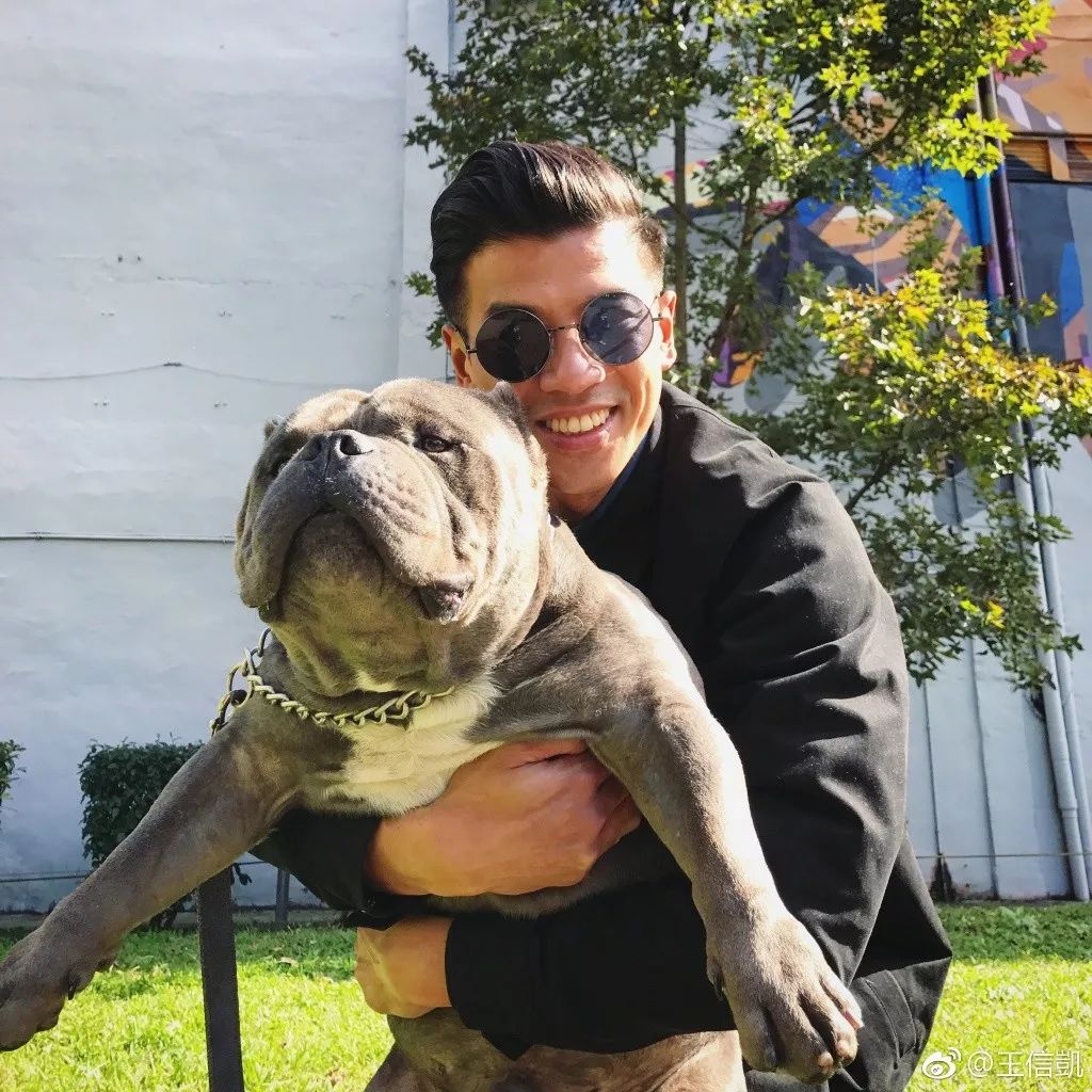 的难度也不高,这样的穿搭真的会很加分 04 "有爱心,喜欢跟小动物相处