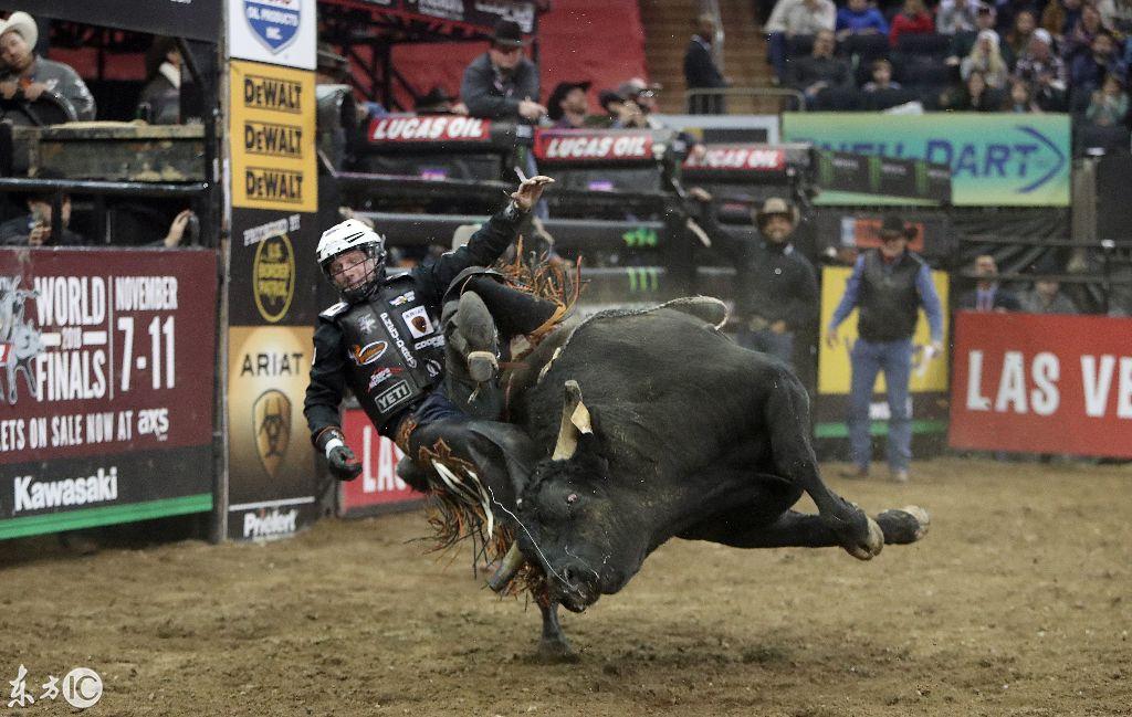 惊险的牛蹄子!一组图带你领略牛仔斗牛惊险瞬间