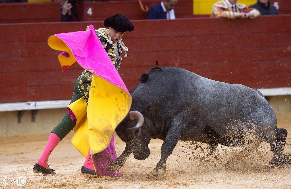 西班牙博览会期间,精彩的斗牛比赛,值得一看