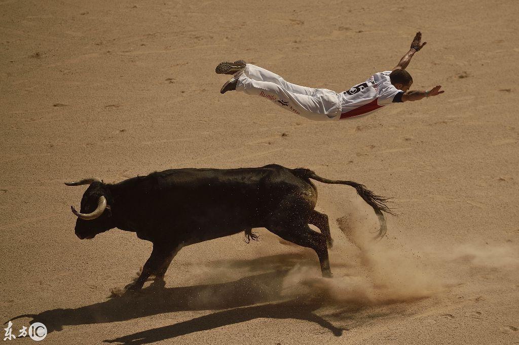 被牛撵成这样还那么疯狂地每年一次举办活动,他们图什么?