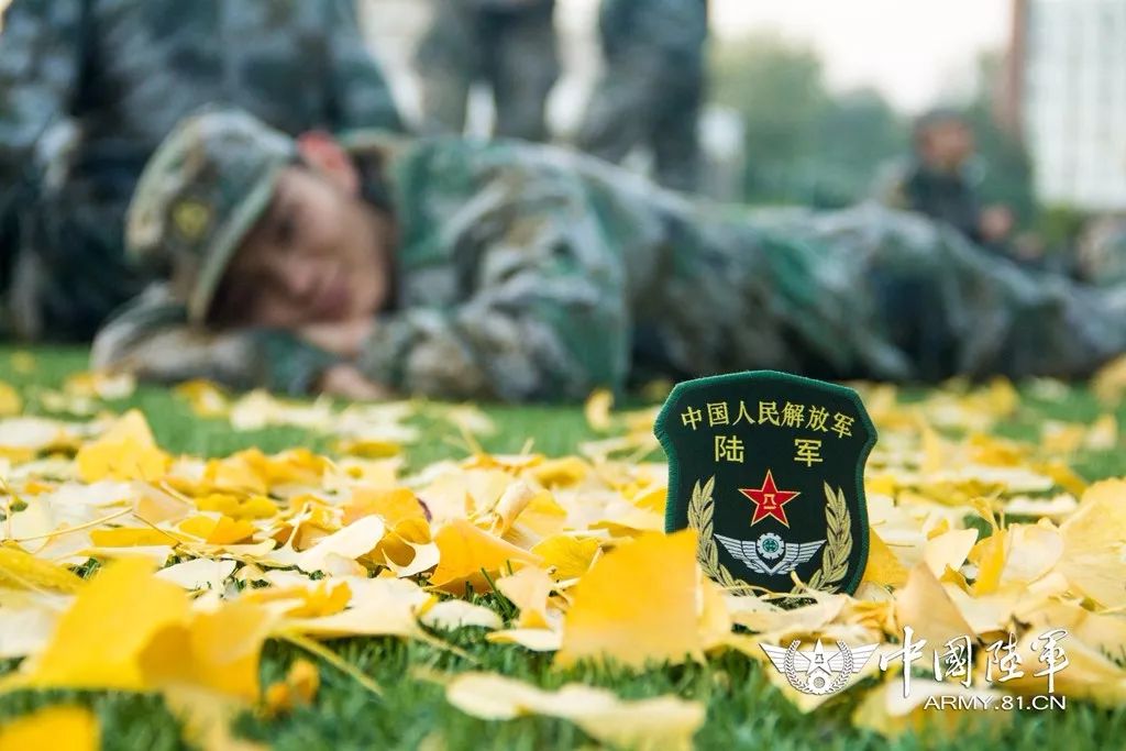 找寻最慑人心魄的一瞬中国陆军首届摄影大赛第二专题雄狮再造邀您当