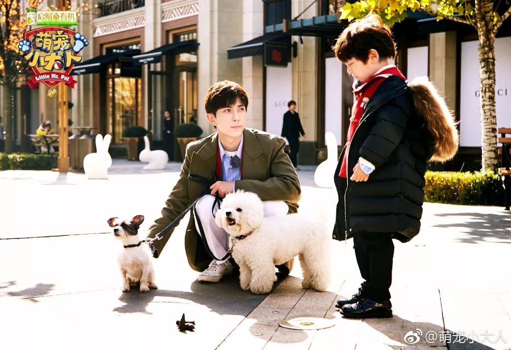 让娱乐内容更具社会意义,爱奇艺《萌宠小大人》为儿童成长提供参照系