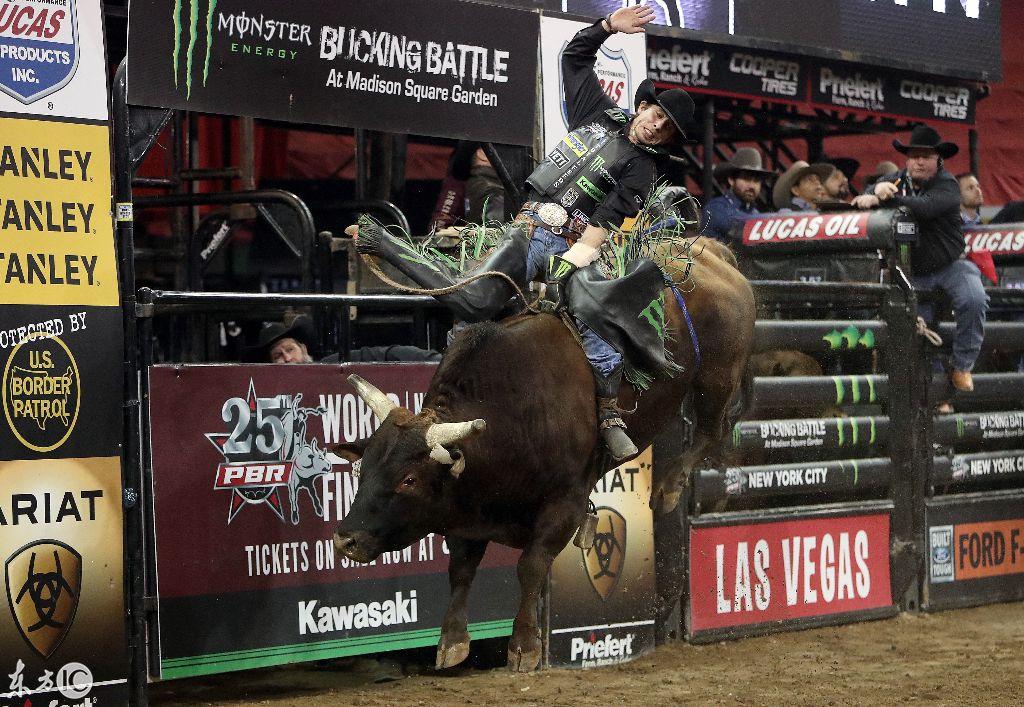 惊险的牛蹄子!一组图带你领略牛仔斗牛惊险瞬间