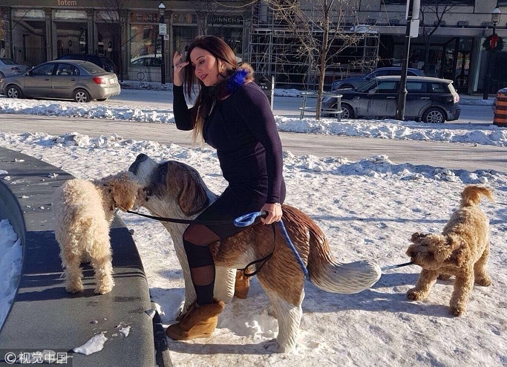 当地时间2018年1月7日,加拿大多伦多,丽莎·阿普尔顿(lisa appleton)