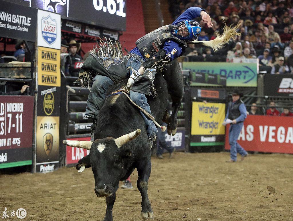 惊险的牛蹄子!一组图带你领略牛仔斗牛惊险瞬间