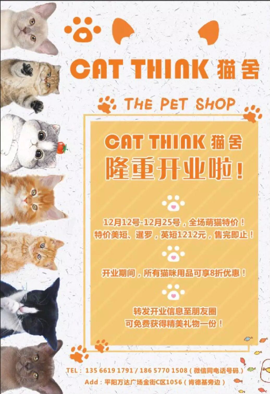 cat think猫舍万达广场店隆重开业,猫奴们可以来撸猫了!