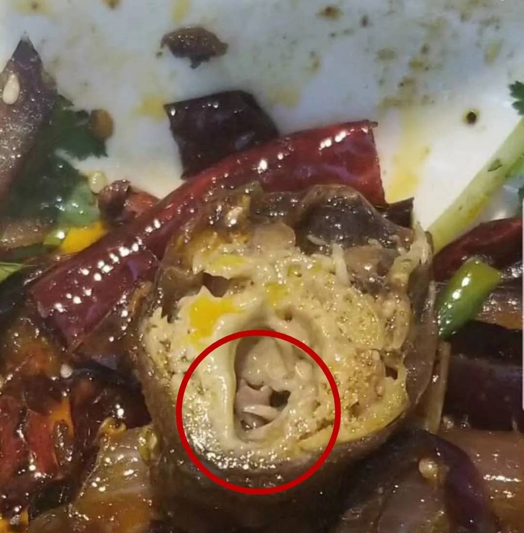 恶心深圳女子在一连锁餐厅里吃出活蛆还不断在蠕动