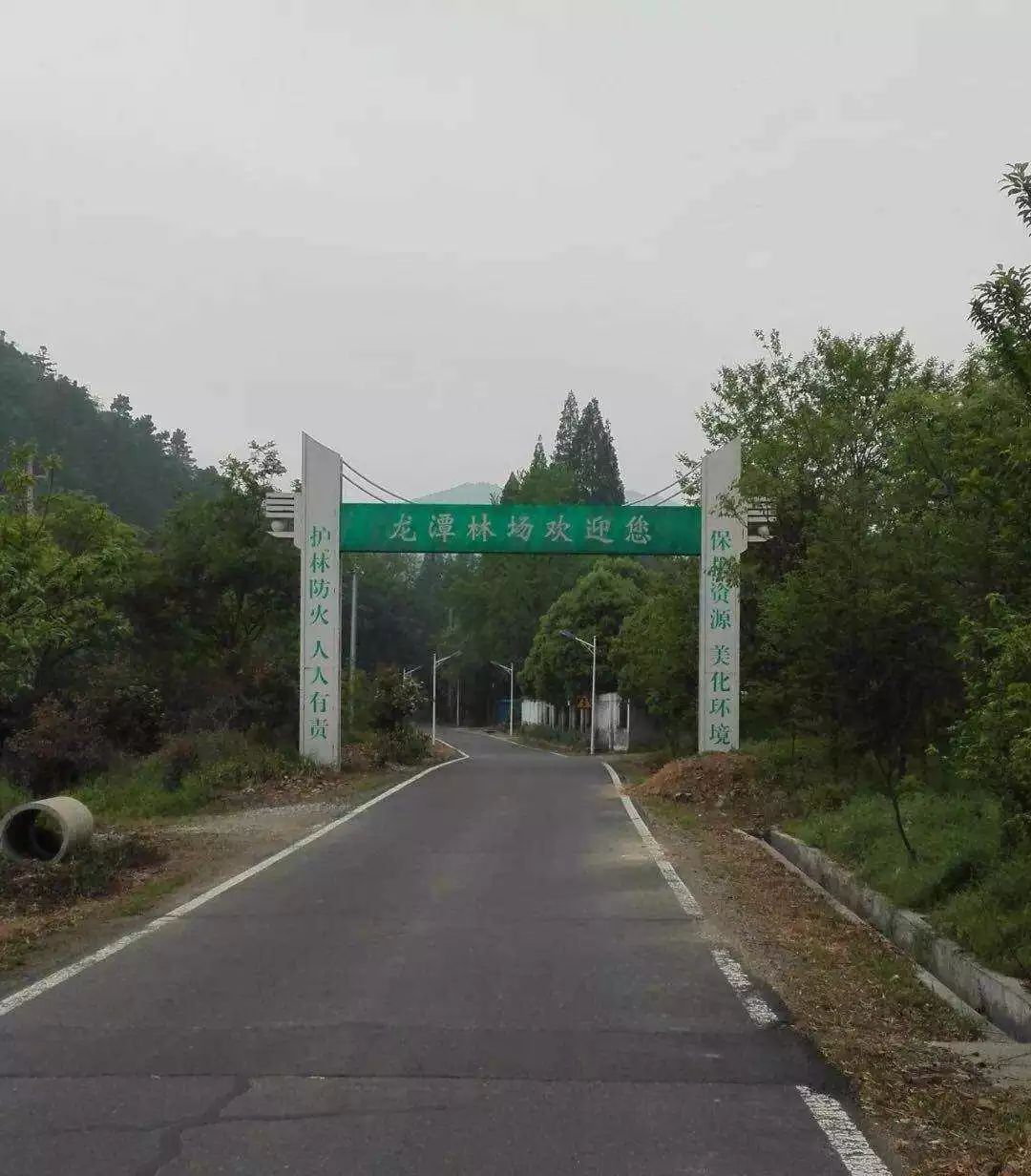 沿着公路一直走,公园正门"龙潭林场欢迎您"几个字映入眼帘.