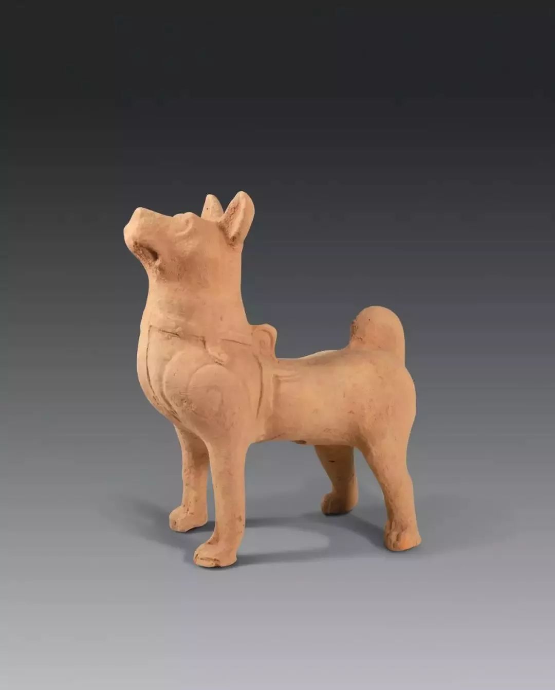 tanc丨戊戌狗年说忠义在南京博物院看狗的标签如何演变