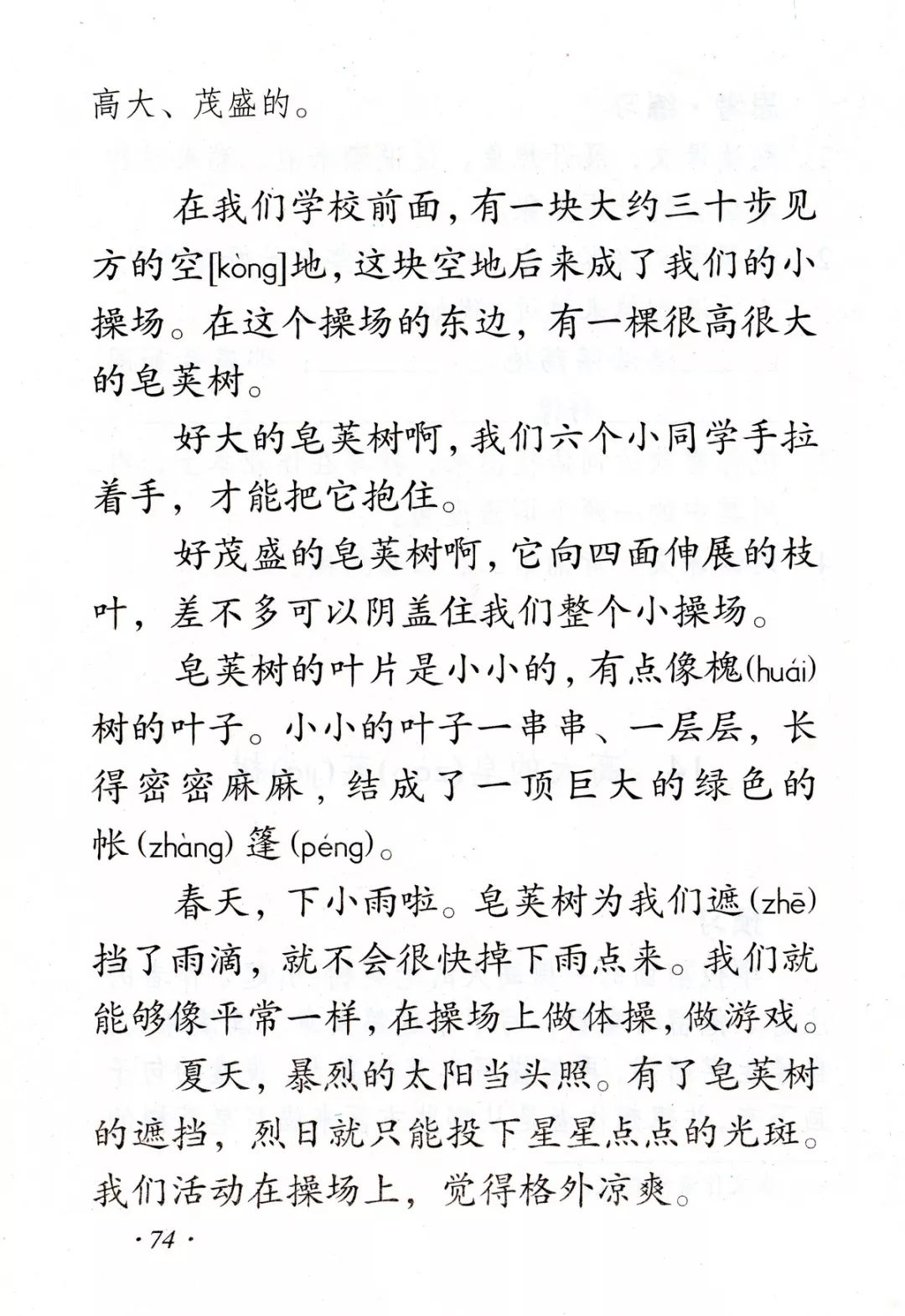 高大的皂荚树丨那些年我们一起读过的课文