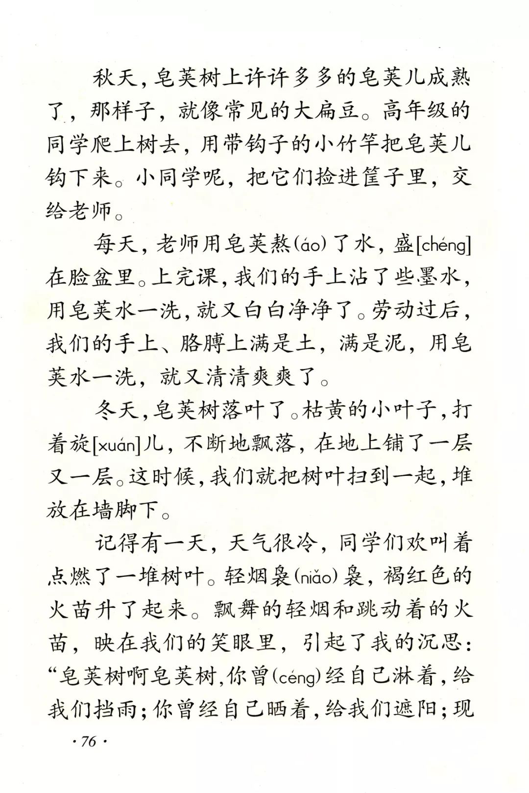 《高大的皂荚树》丨那些年,我们一起读过的课文