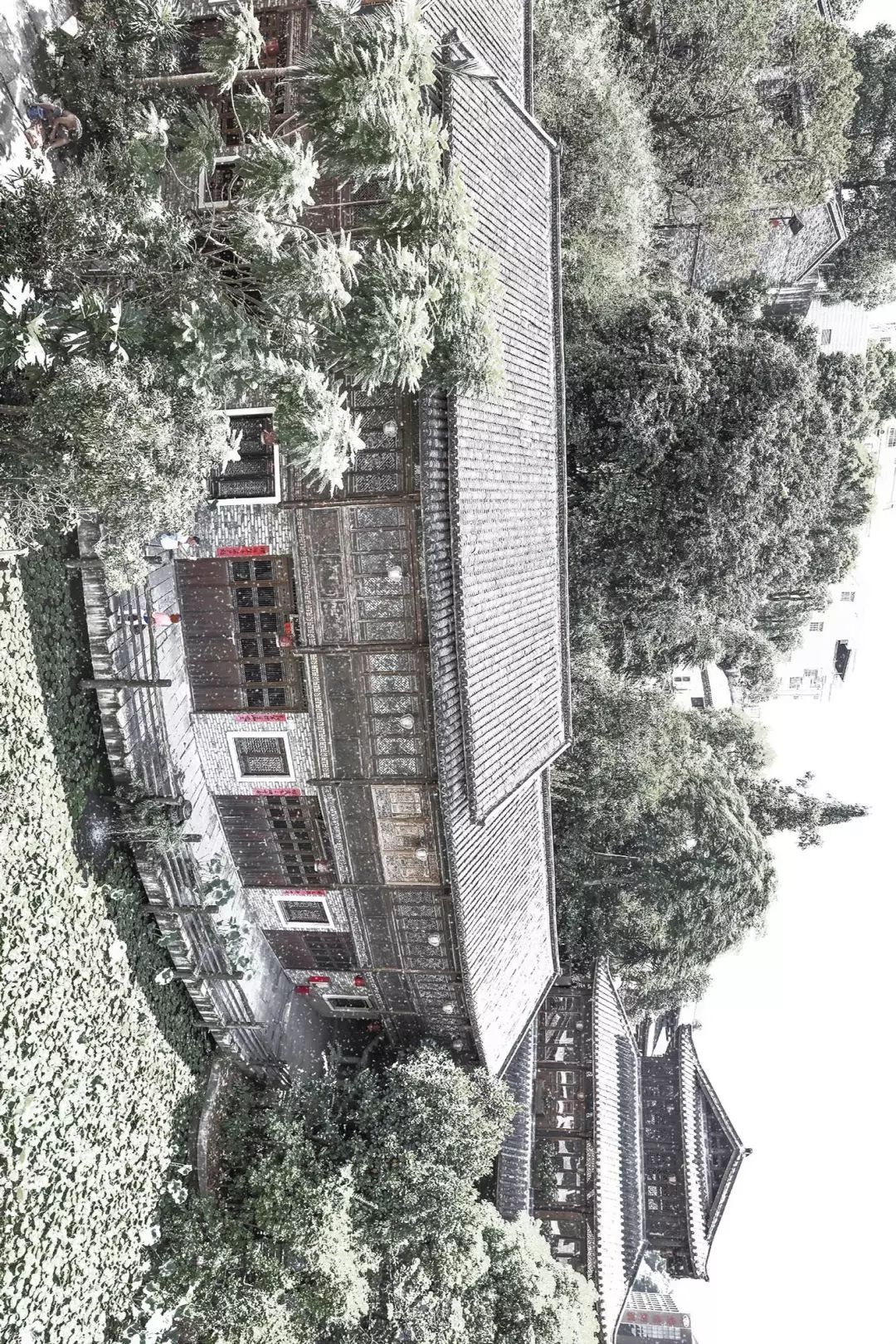 看，深圳下雪了__财经头条