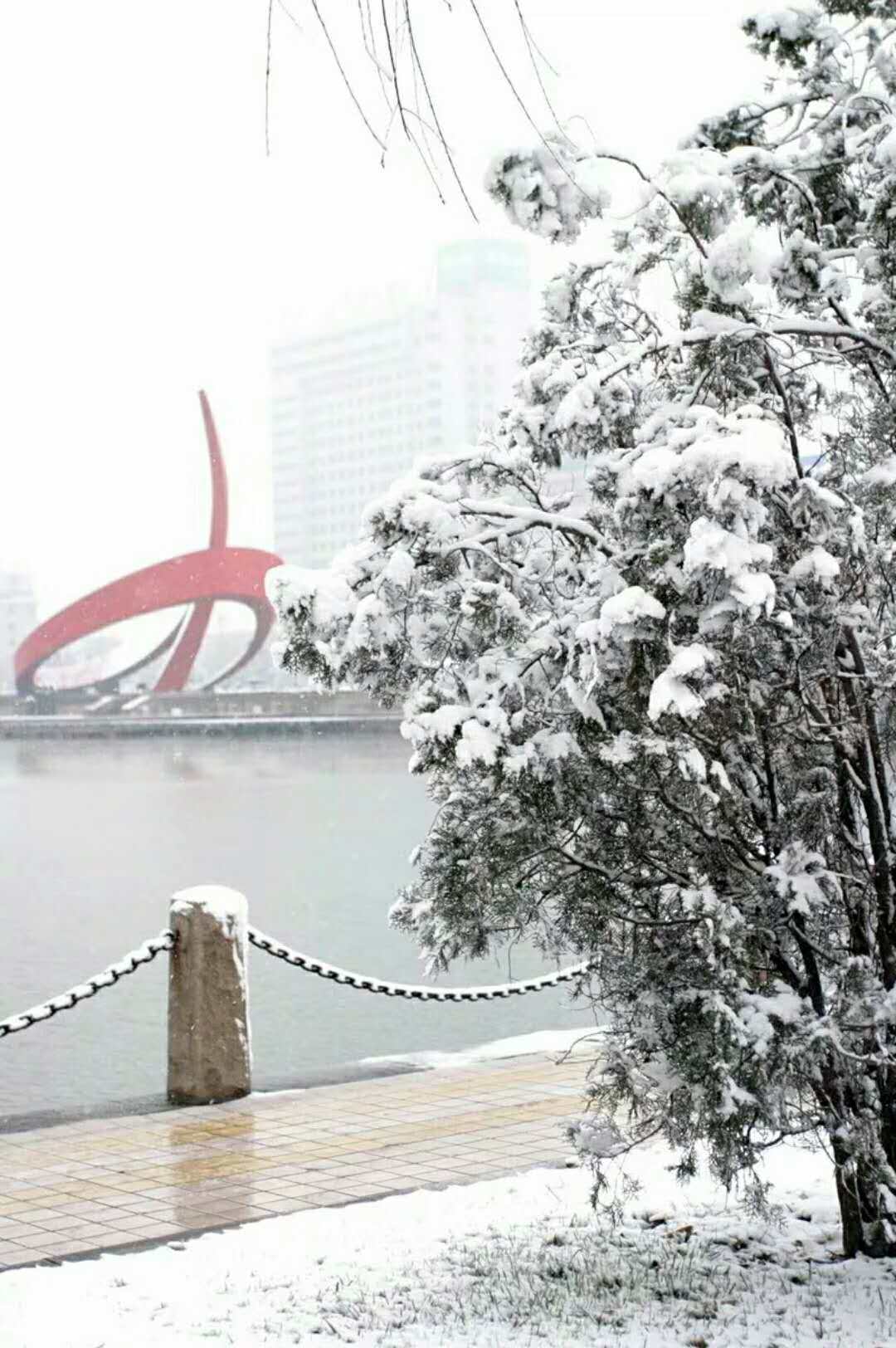 德州终于下雪啦!2018年德州第一场雪如期而至!