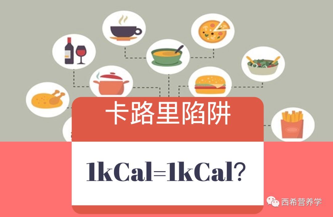 1卡路里=1卡路里?不要落入卡路里陷阱