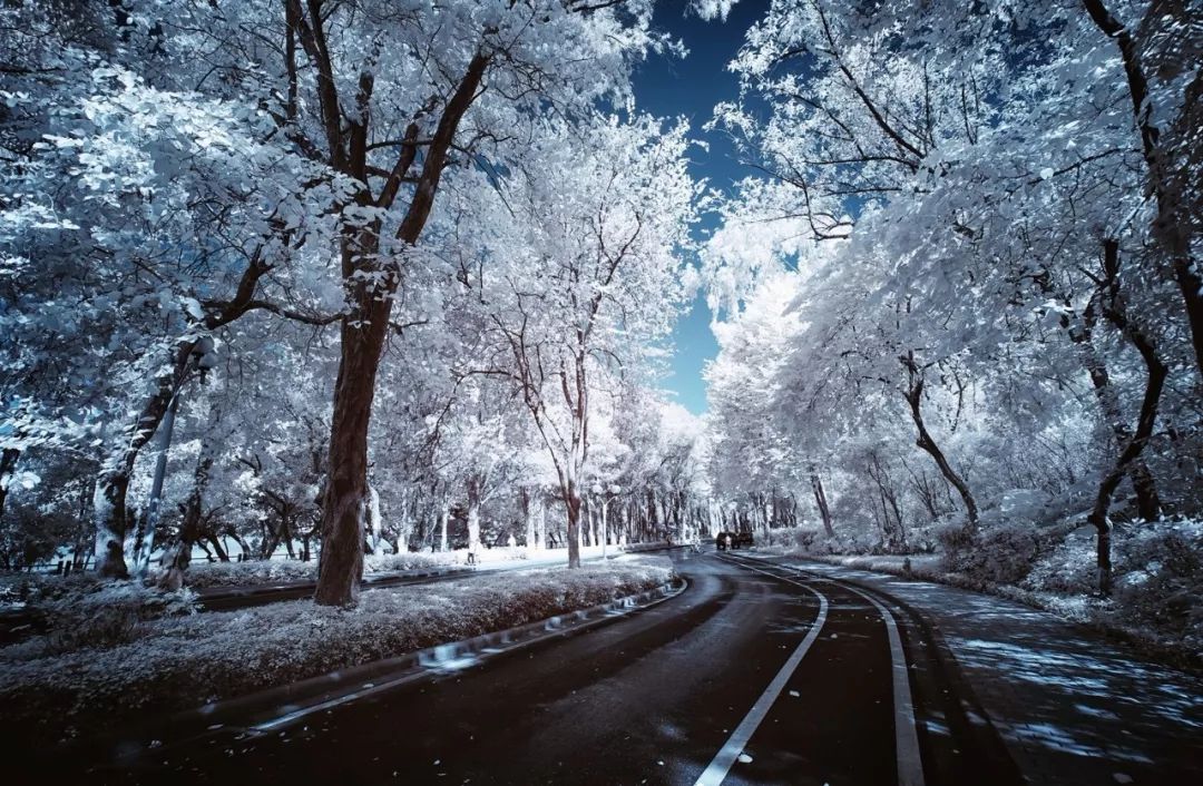 雪后的广州美得让人窒息