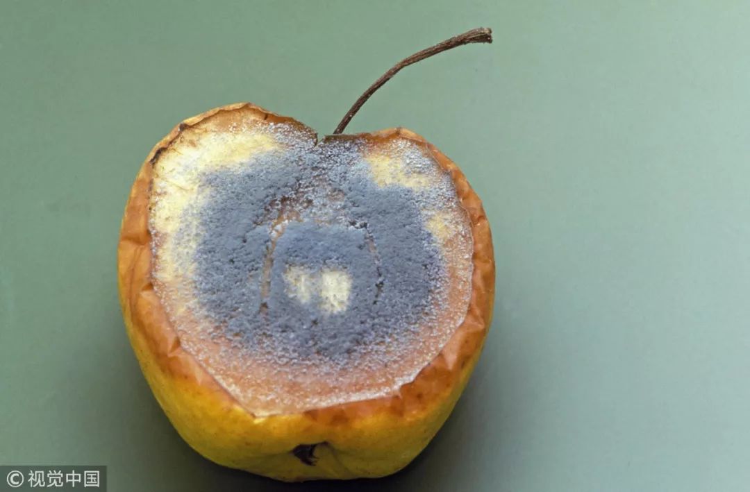 图片来源:视觉中国有些人碰到水果烂了一部分,就把烂掉的部分剜掉再