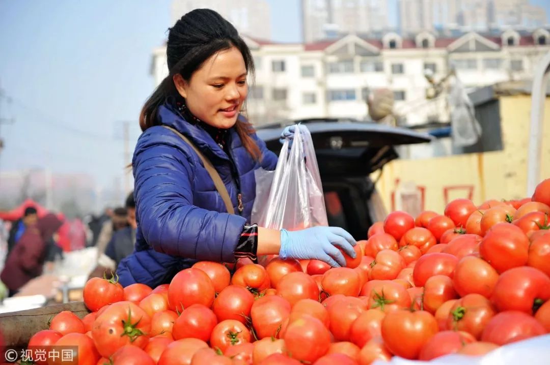 德强生物秉承绿色种植理念,结合先进栽培技术打造的——德强9°西红柿