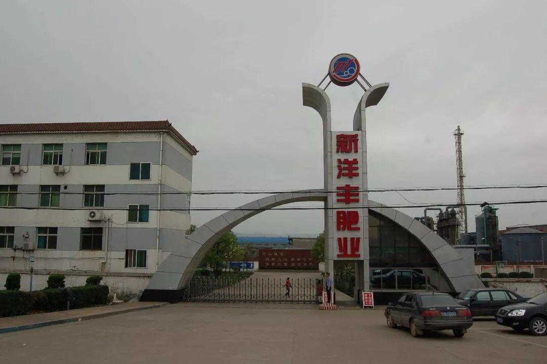 3年前,新洋丰(000902.