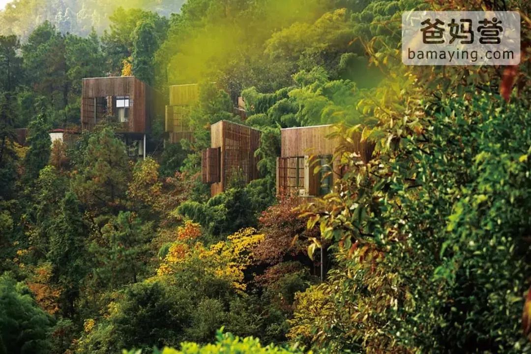 美到尖叫!中国最美的10大树屋酒店!带娃去童话中旅行吧!