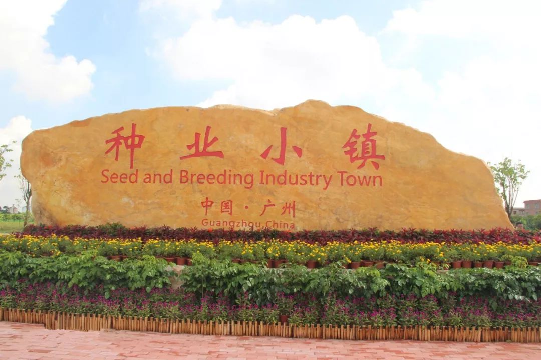 每天上午9时至下午5时 展出地点:广州种业小镇(南沙区东涌镇) 展会