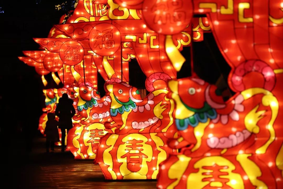 宁波景区春节活动及优惠疯狂来袭文中有福利红包灯会自贡