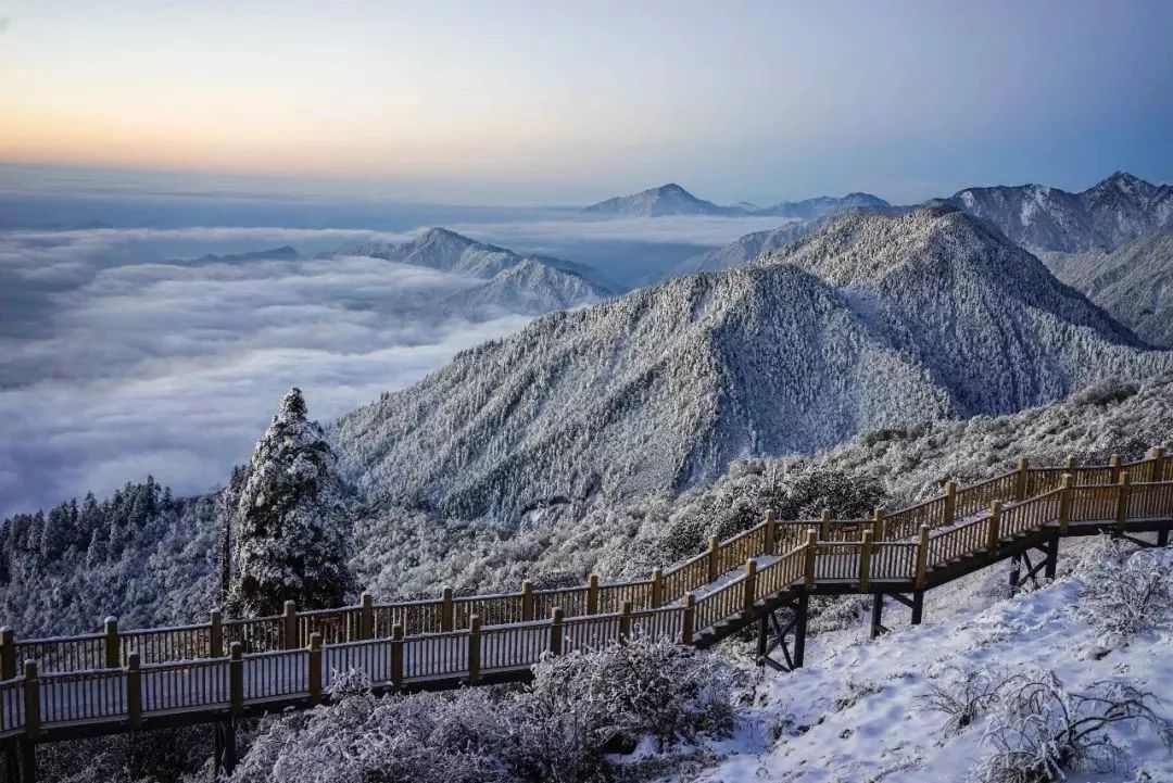 丝巾准备好!四川这些超火的景区3月8日免票了 | 微说四川