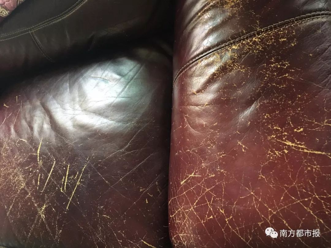 毕竟,"你家沙发为啥没有抓痕?"怎么可能是家里有娃的!