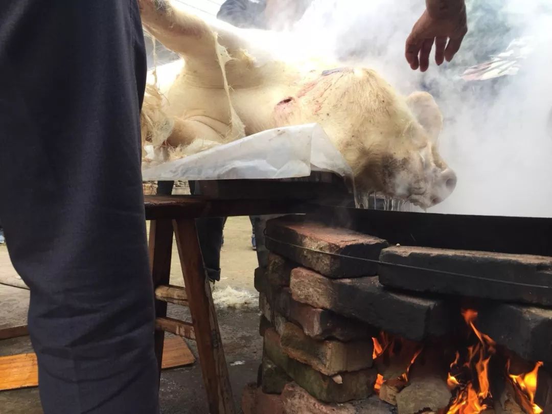 春节假期结束这些属于重庆人的传统年味儿你还记得吗