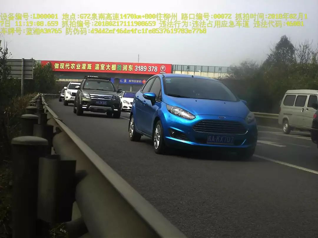 车牌全曝光!|查处|占道|交警总队
