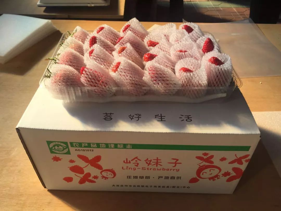 红颜归来莓开颜笑庄河草莓王红颜草莓甜蜜来袭