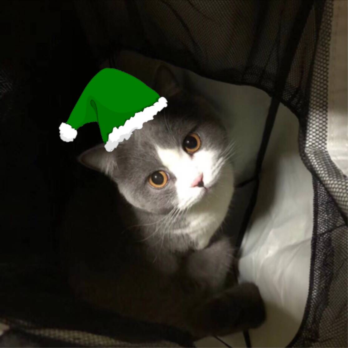 你有没有发现,微信里的好友头像,都纷纷戴上了一顶「圣诞帽」?