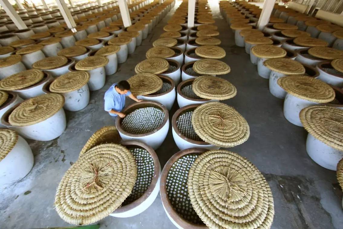 【好食】绍兴酒神酿的黄酒,全国只有6000瓶