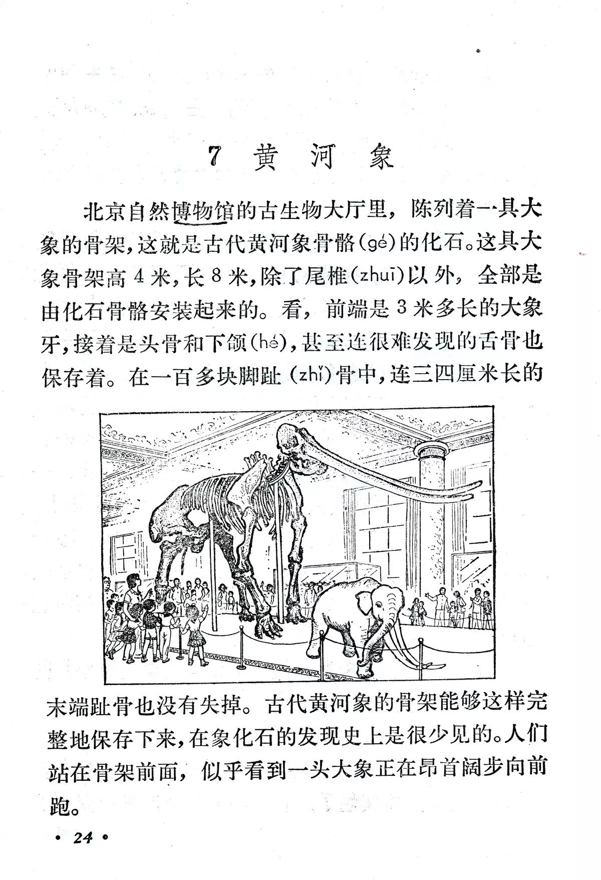 《黄河象》丨那些年,我们一起读过的课文