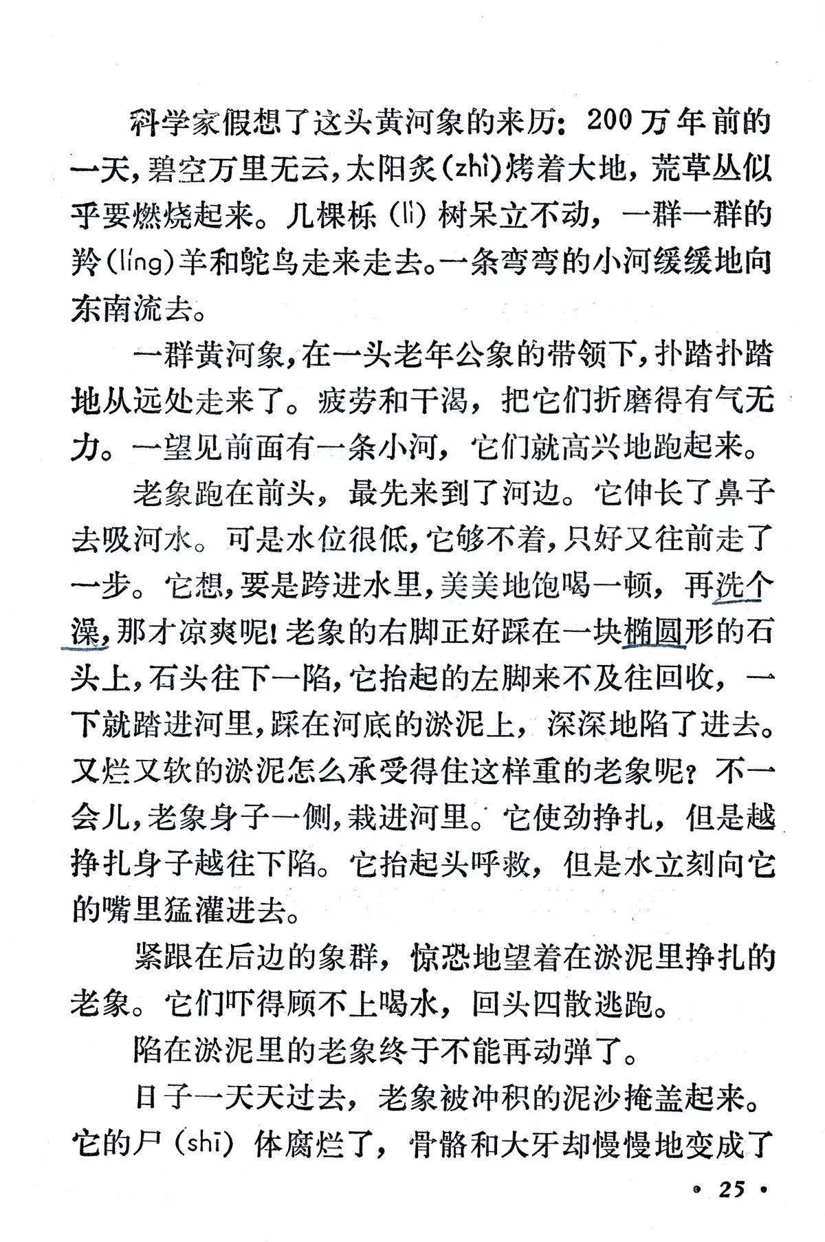 《黄河象》丨那些年,我们一起读过的课文