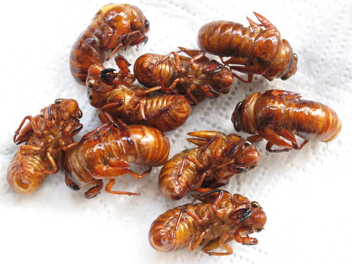 哦不烟雾缭绕我看不清