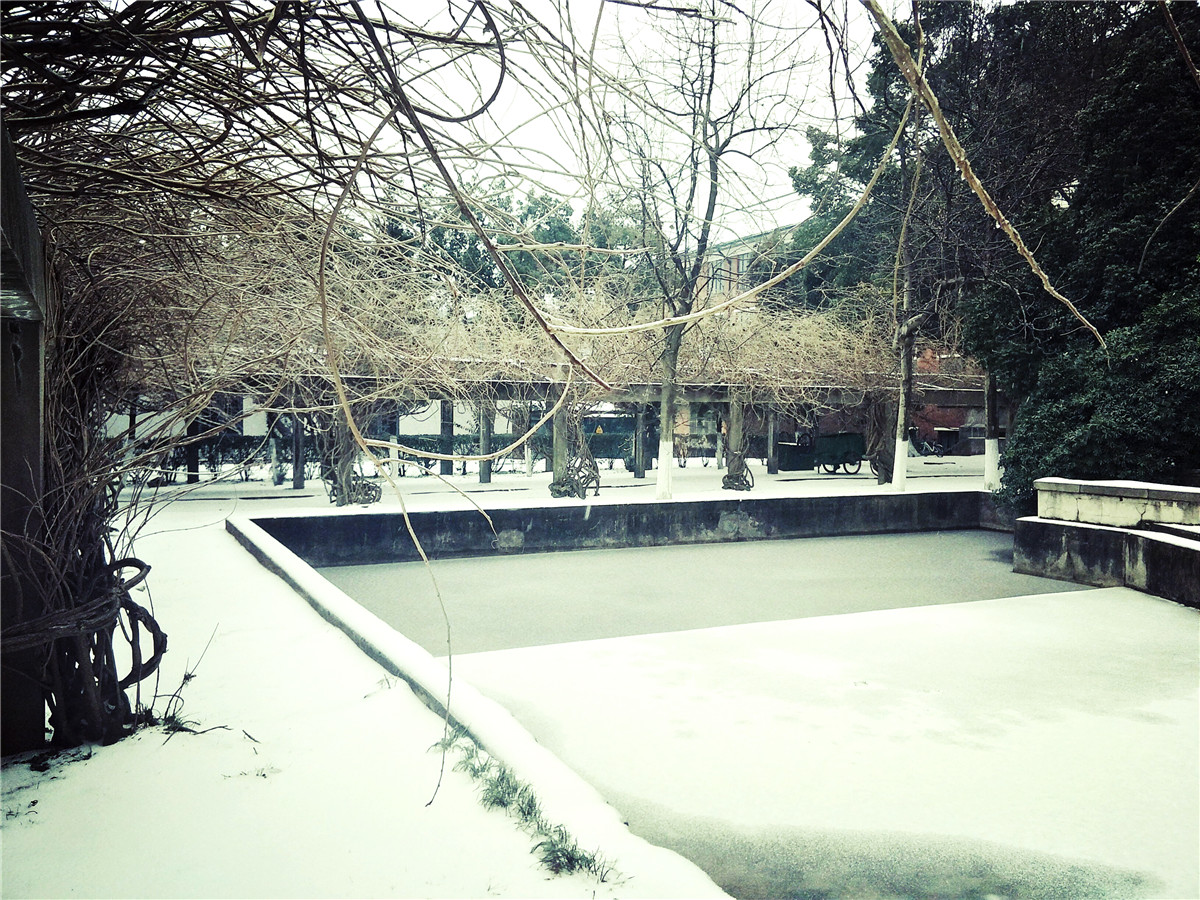 【湖大掠影】"素颜"之美看我湖(图文)