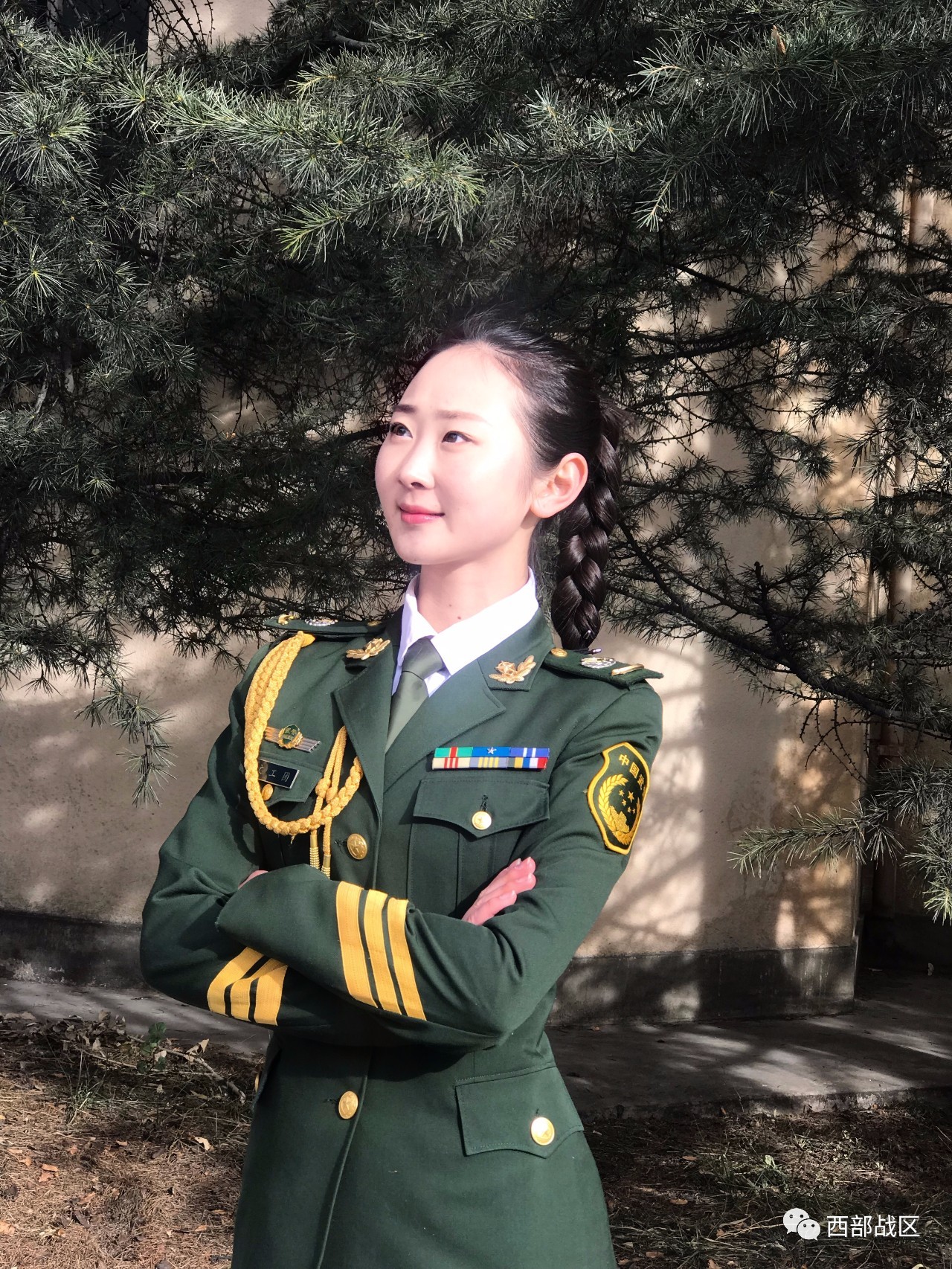 哨位上的青春军营里的绿花