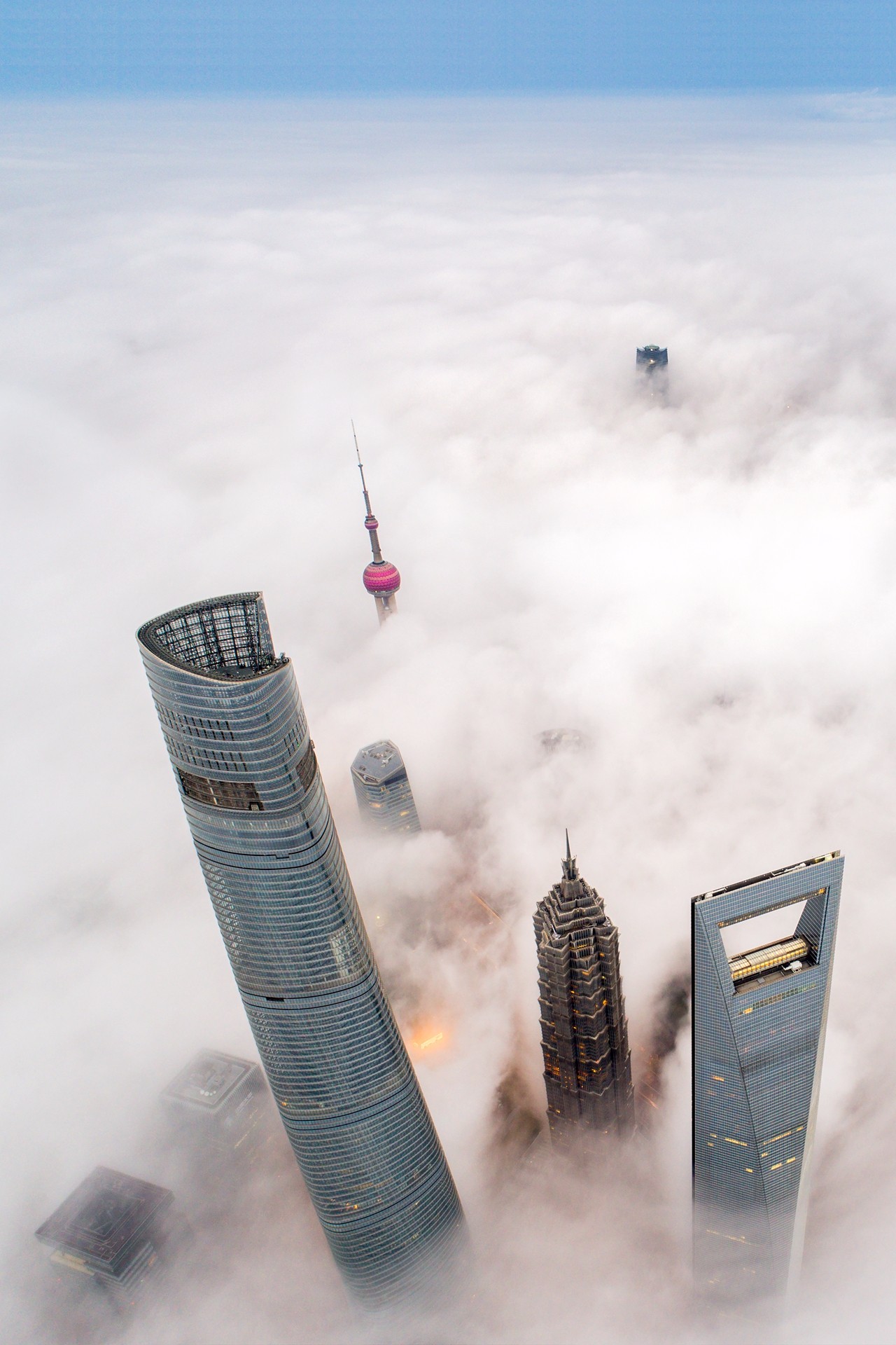 交警|上海|大雾_新浪新闻