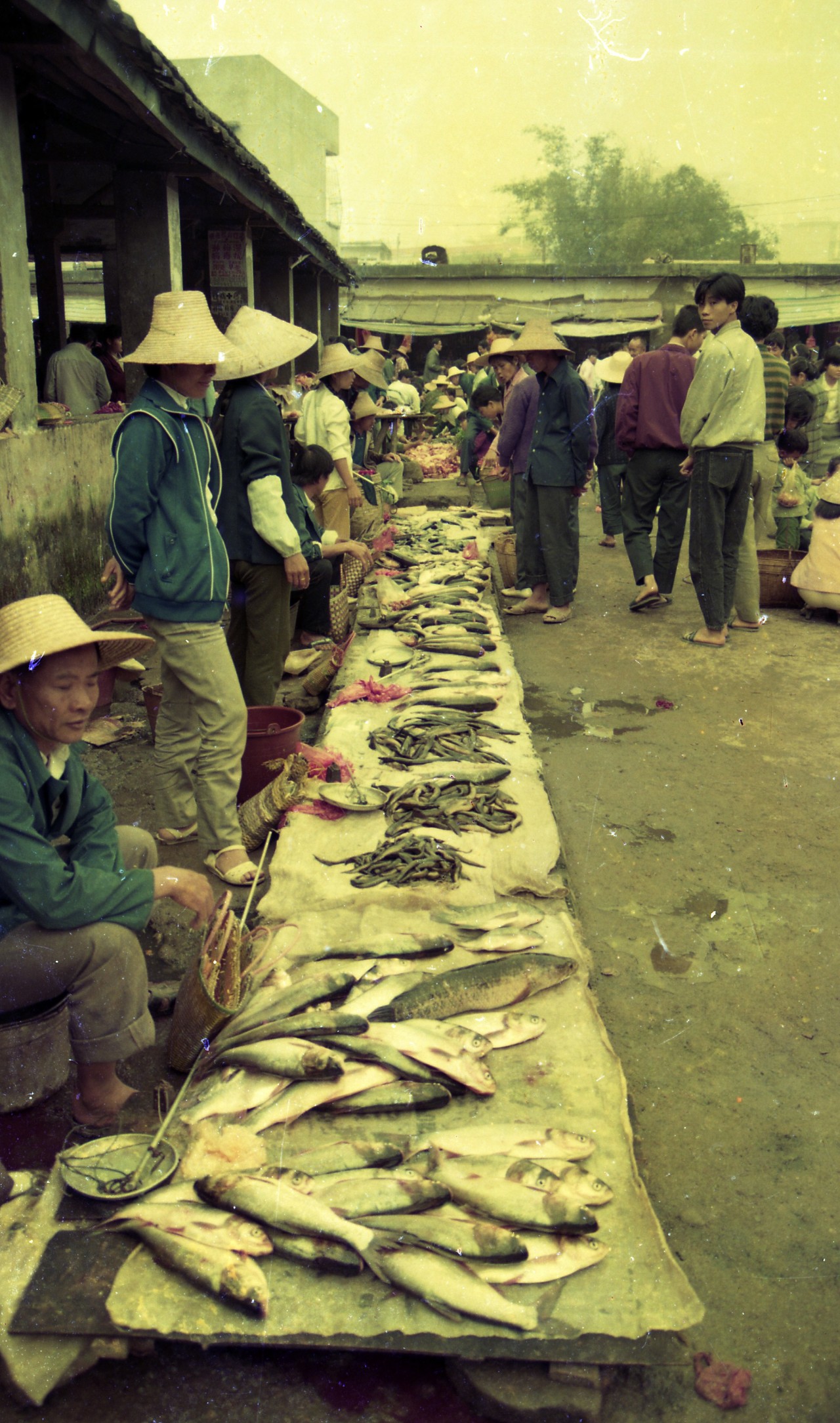 老照片记录下的三十年,满满全是回忆!你认识这样的白沙吗?
