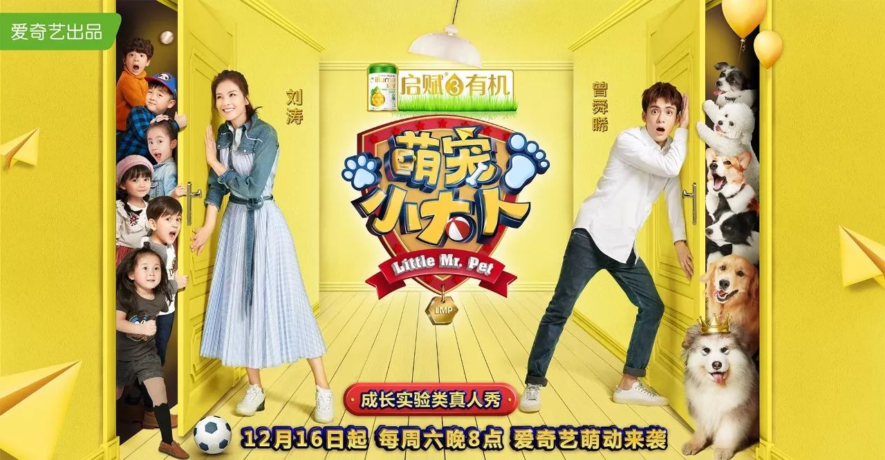 社会意义建构,寓教于乐表达,爱奇艺《萌宠小大人》暗合平台爆款逻辑