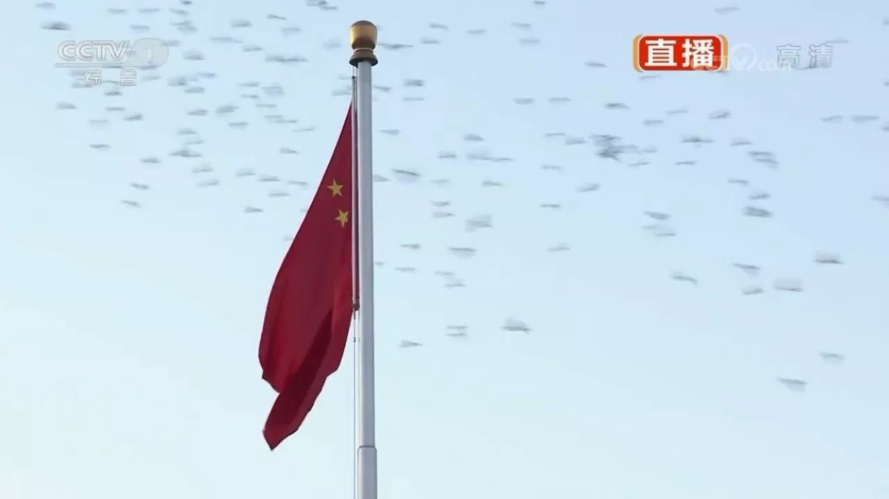 见证荣光三军仪仗队升起2018年第一面五星红旗