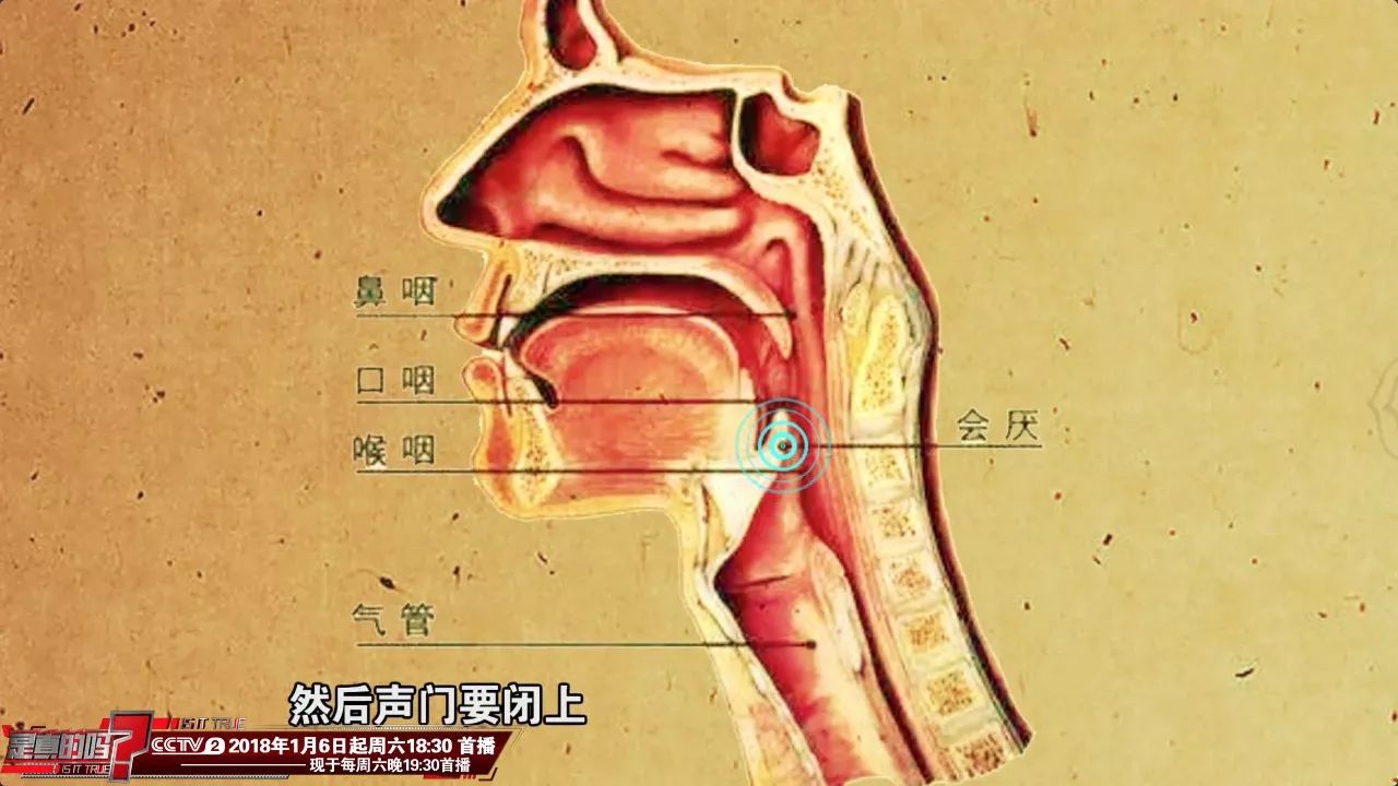 王蓉美"我们呼吸道和食道在咽部是一个通道,在吞咽的时候我们会厌会